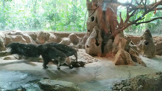 长隆乐园欢乐世界,广州长隆游玩注意事项