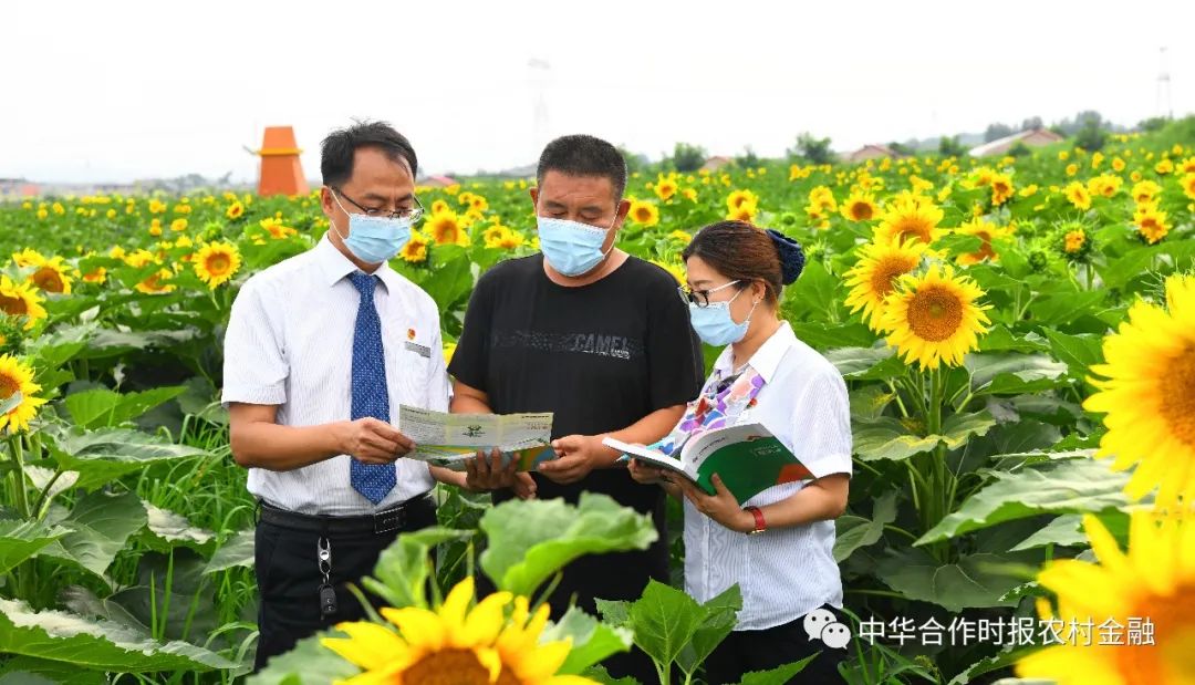 线上农信贷款申请多久能通过,线上申请的贷款随借随还