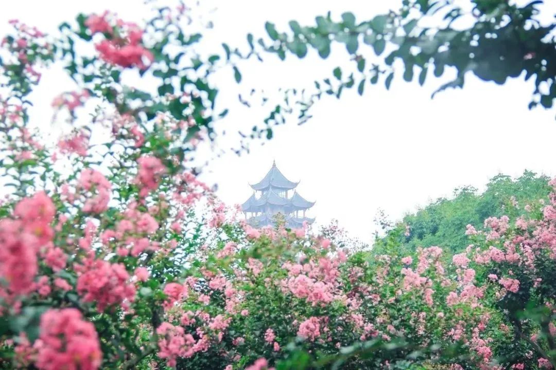 成都景点60岁以上免费门票,成都免费游玩景点推荐