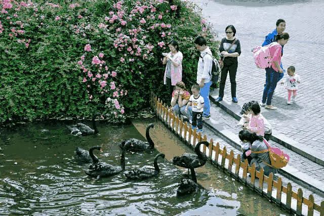 成都景点60岁以上免费门票,成都免费游玩景点推荐