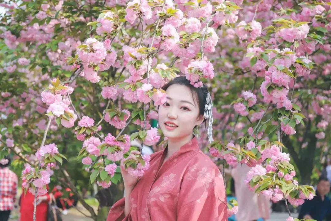 成都免费游玩景点推荐,成都景点免费门票一览表