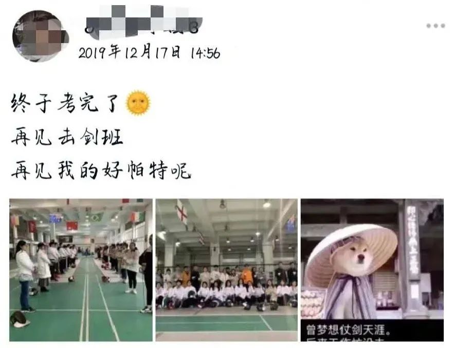 在华师可以学什么,在华东师大读书的体验