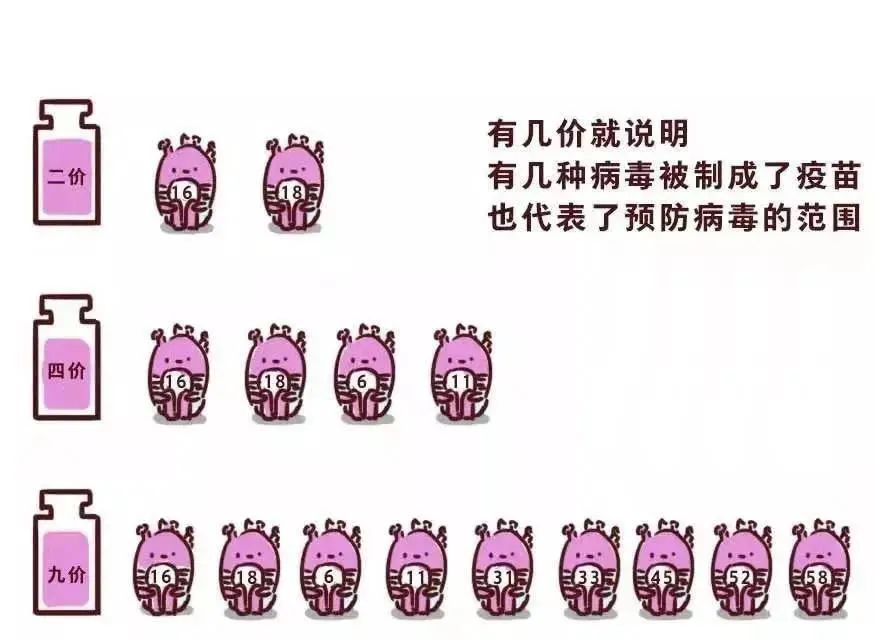 关于HPV的5个常见问题与11个误区,每位女性都要知道!