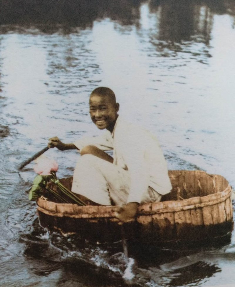 又到送寒衣时节,又到了送郁金香的季节