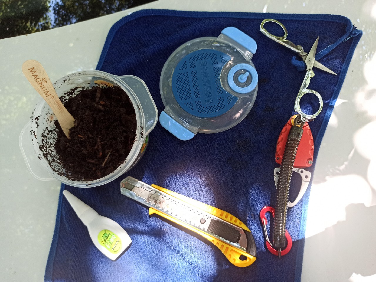 用废弃盒子做蚯蚓盒,手工做蚯蚓盒