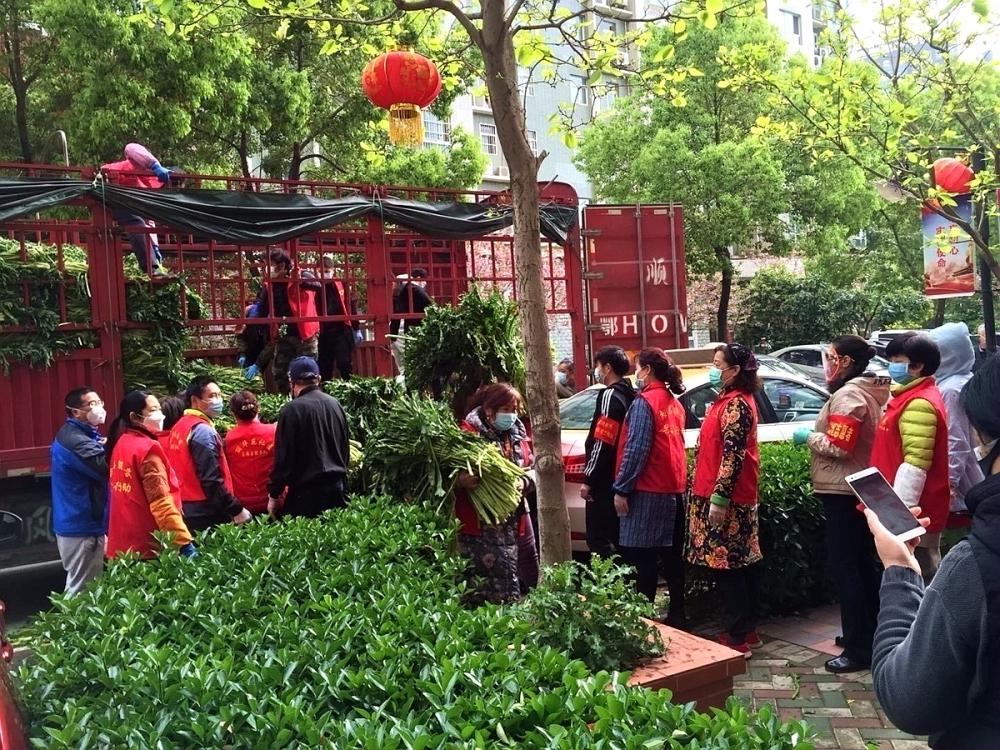 咵咵我的社区|社区书记垫资十万只为居民吃到“良心菜”