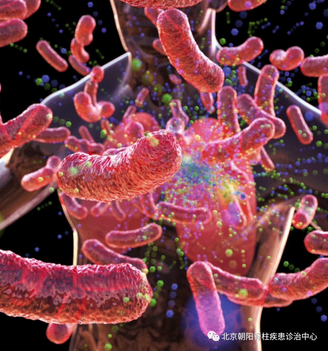 腰痛的真正原因是什么,腰痛要警惕五种原因