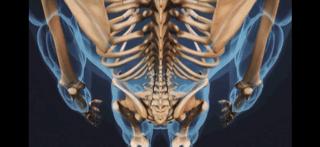 腰痛的真正原因是什么,腰痛要警惕五种原因