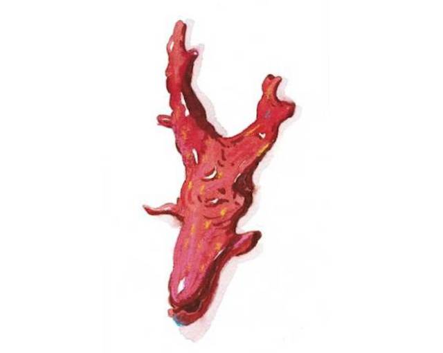 海洋护肤成分,深海植物护肤精粹