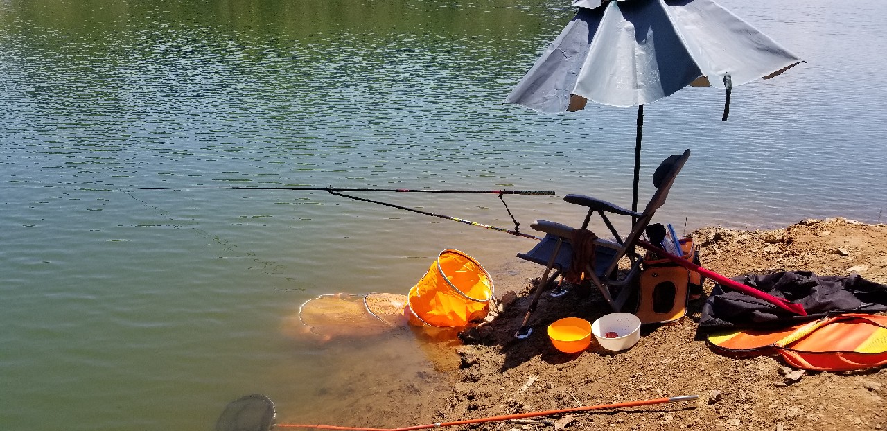 鱼没钓到还把诱饵吃了,鱼没钓到雨还下大了