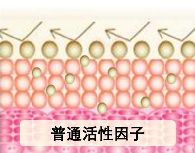 冻干护肤品评测,冻干粉护肤真的有效吗