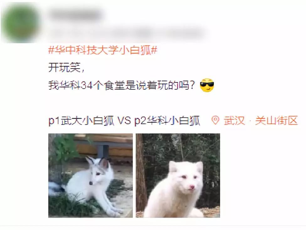 现实中的山顶洞人,中国大学生为什么混日子