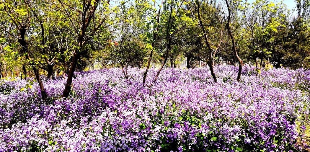 漫游古城享受惬意时光,感受大自然的气息和美景逛新城