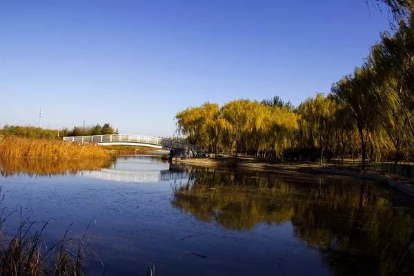 亦庄晚上拍照好去处,北京亦庄旅游景点推荐