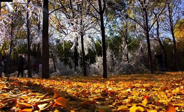漫游古城享受惬意时光,感受大自然的气息和美景逛新城