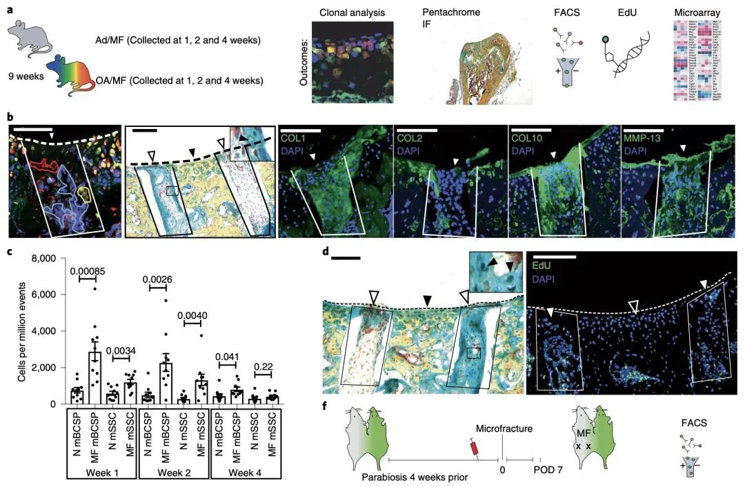 楠ㄥ叧鑺傜値杞淇,楠ㄥ叧鑺傜値搴峰鐥呬緥