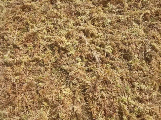 据说最为齐全的30种多肉常用土壤的资料及20种配土方案,不会配土的可以做个参考