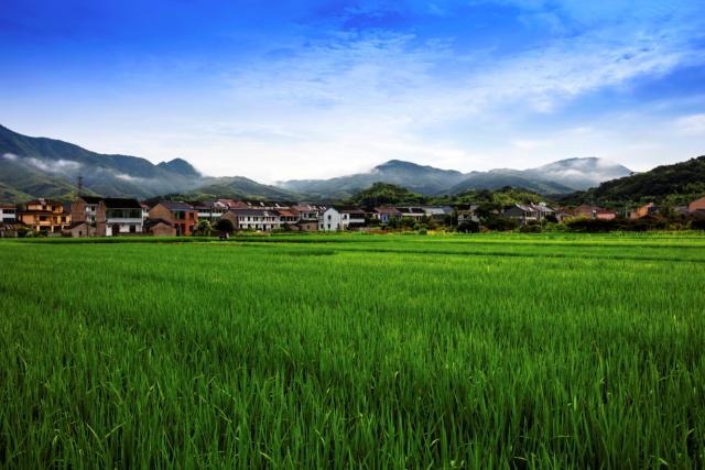 浙江省绍兴市上虞市下管镇,上虞美丽乡村地图