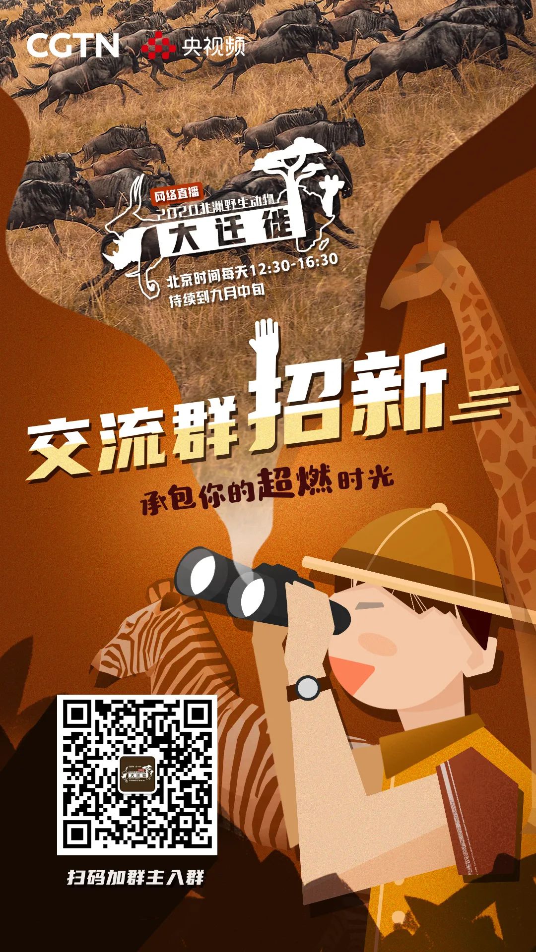 斑马是白马黑条纹还是黑马白条纹,斑马到底是黑斑白马还是白斑黑马