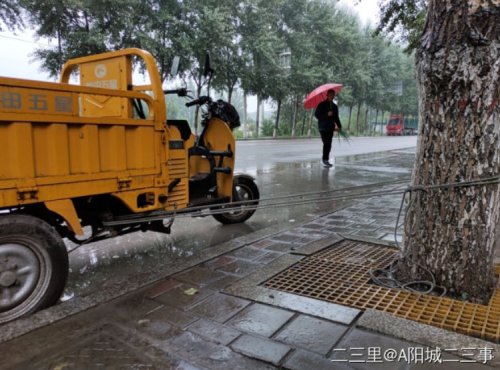 对抗“巴威”，他们竟然“拴”大树、电梯停运、连夜清理铁皮