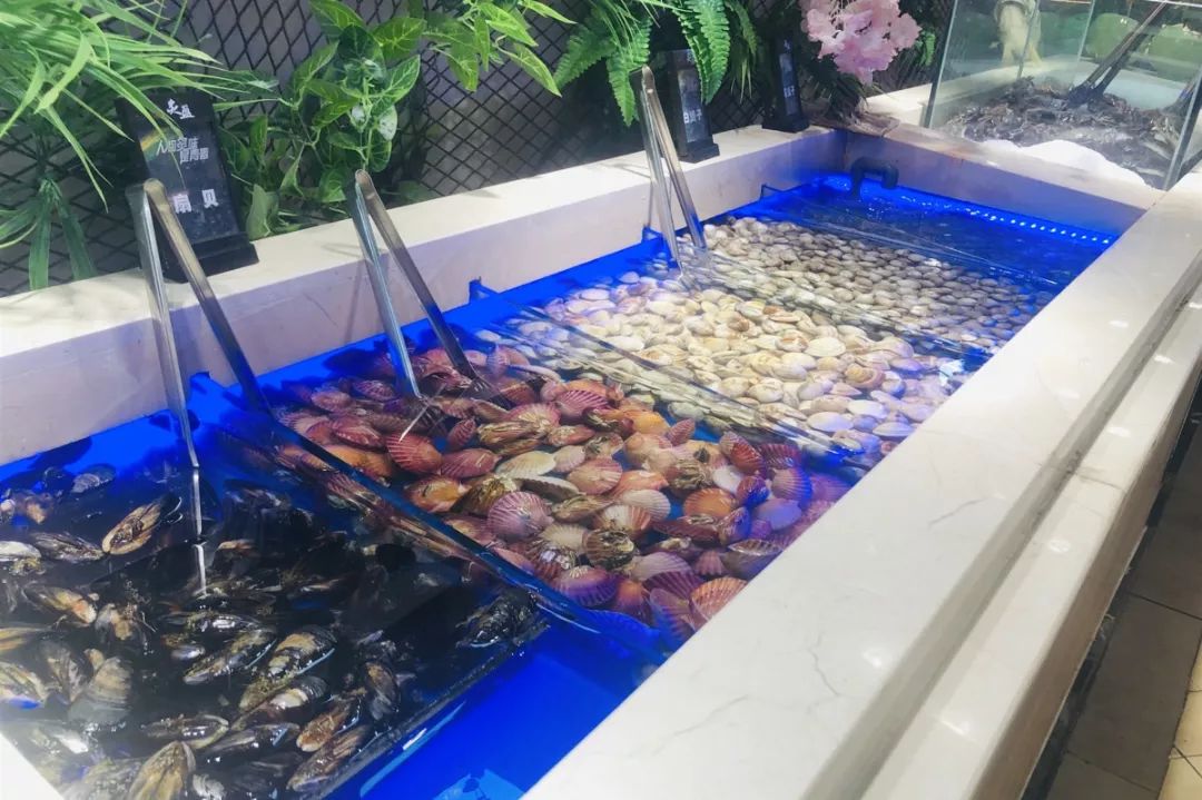 来哈尔滨必打卡的烤肉自助餐厅,哈尔滨最高档海鲜自助火锅