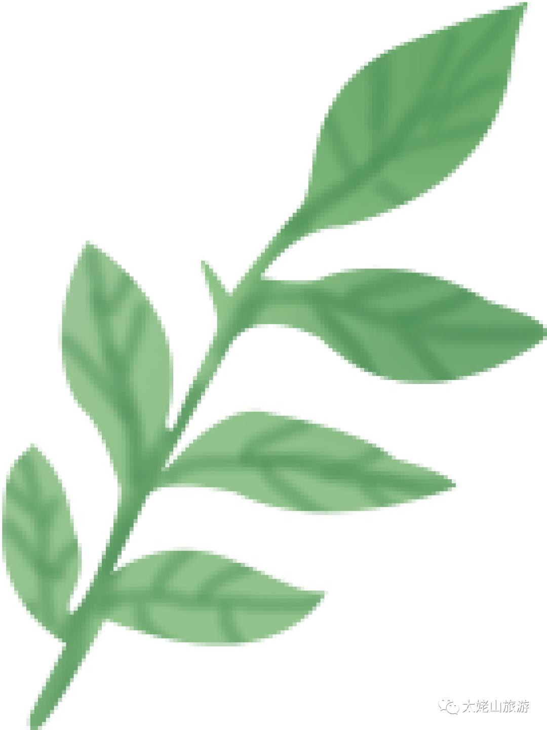 普陀山网红海景民宿推荐,普陀山岛上民宿客栈推荐