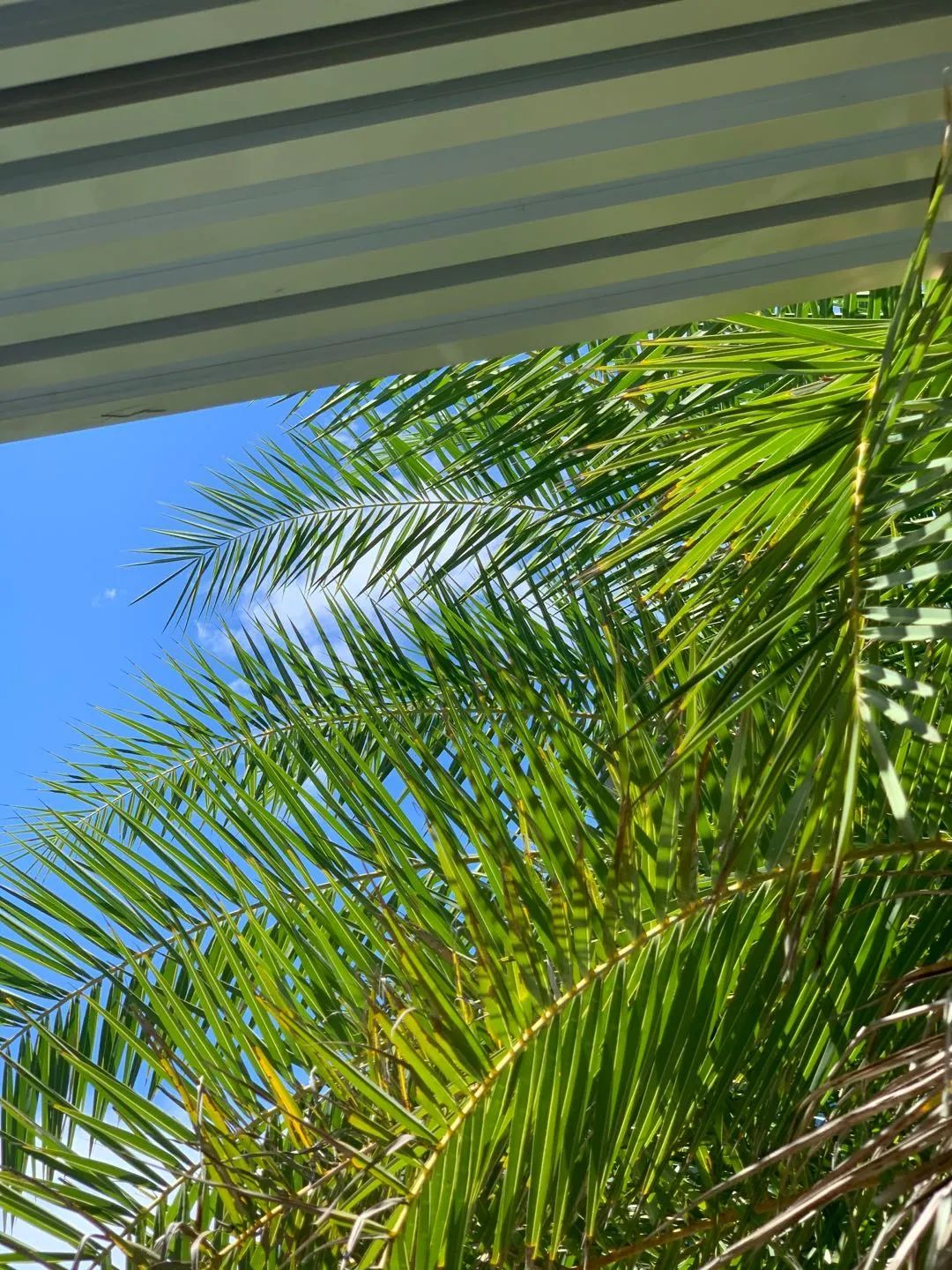 每当夏天又想起了你,每到这个季节就容易想起你