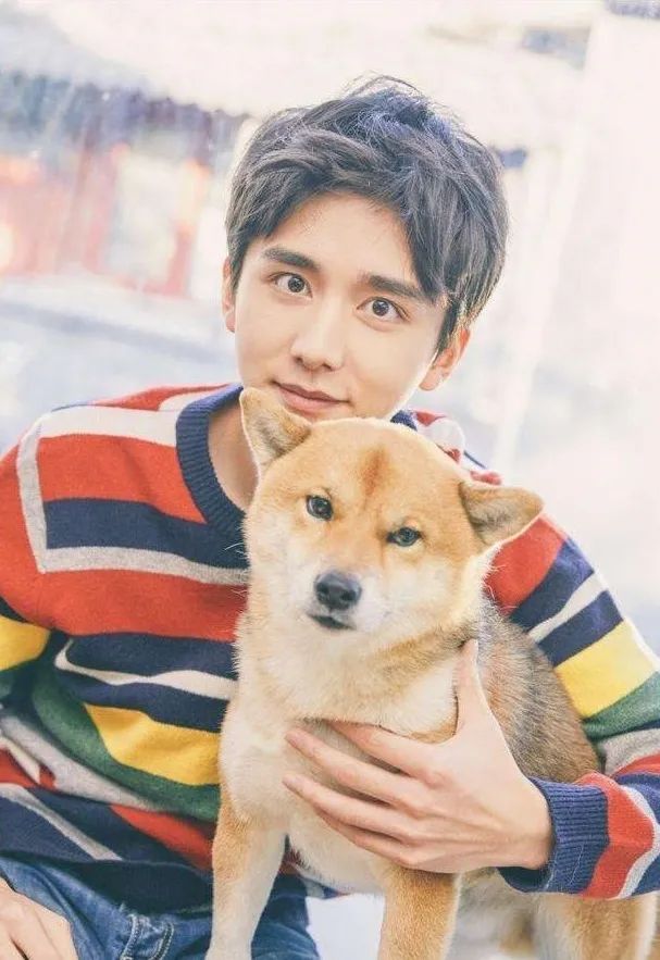 盘点很火的男友,盘点2020人气男主