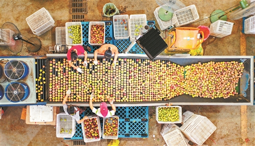 小伙创业做电商月赚5万,小伙创业靠电商赚钱