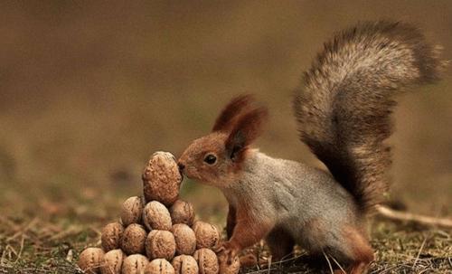 囤物癖和断舍离,囤货癖