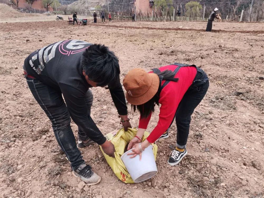 织密民生大网共享幸福提速|甘孜州建州70周年成就新闻发布会之社会事业篇