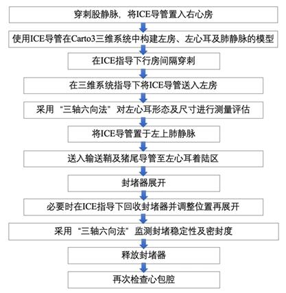 ESC2020丨储慧民团队：创新左心耳封堵之LOVE术式