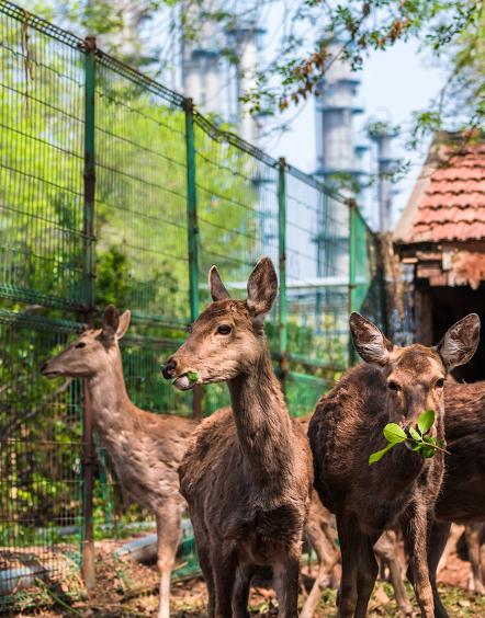 两山征文,天津海河环保征文