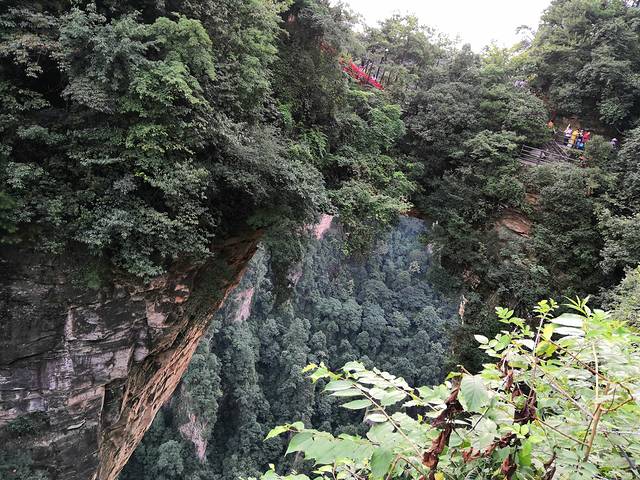 张家界西到长沙南,长沙至张家界旅游