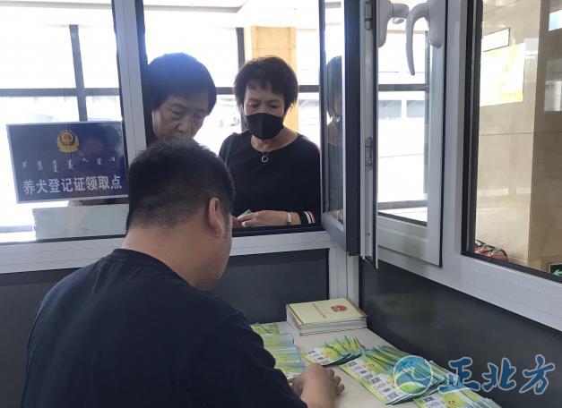 呼和浩特市办理犬证收费吗,呼和浩特犬类条例