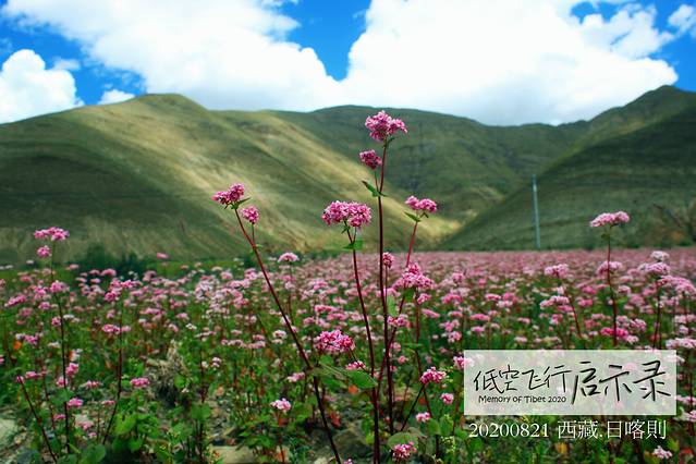 低空飞行旅游视频,大西北环线自由行8日攻略