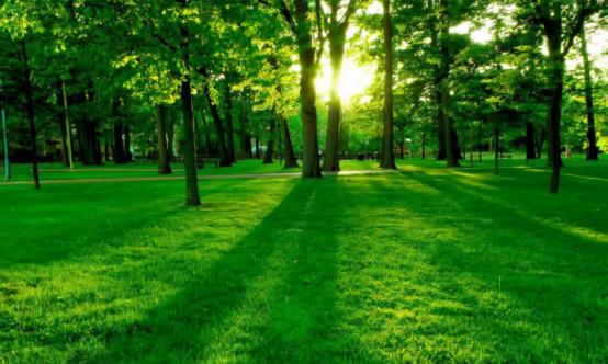 贵阳恒大悦府怎么样,贵阳恒大悦府学校