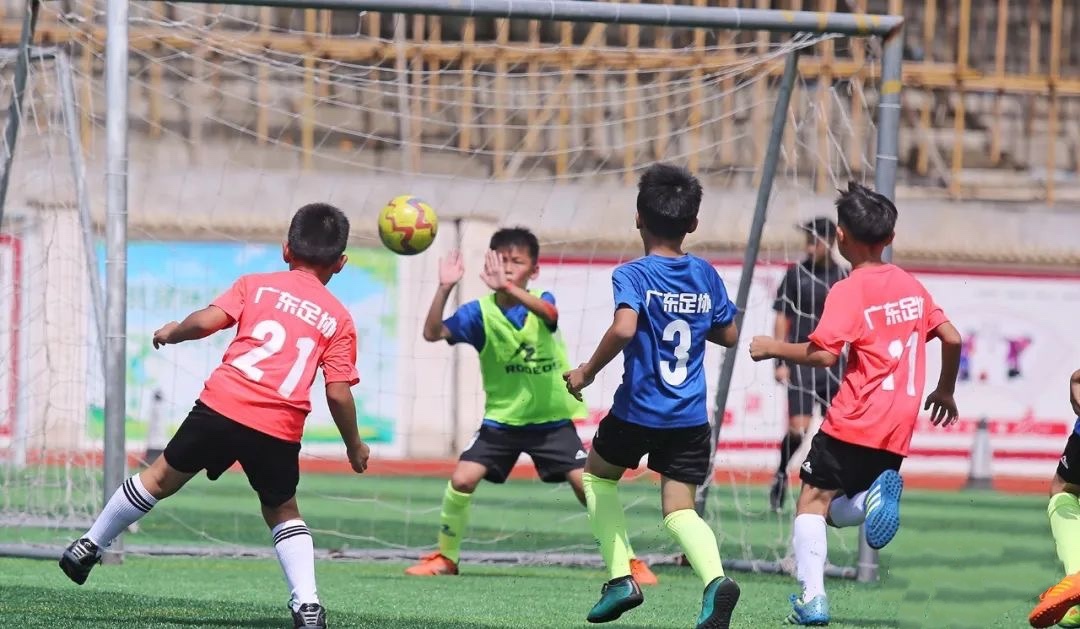 从“竞技体育”到“全民健身”，汕尾体育事业全面开花