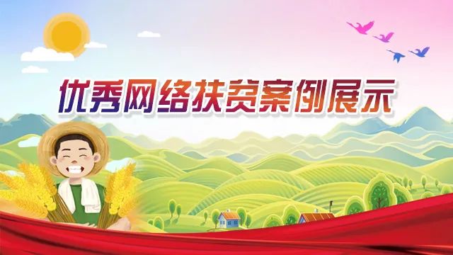 鏌冲窞甯傜綉缁滄壎璐姇绁ㄥ摢瀹跺ソ,鏌冲窞甯傜綉缁滄壎璐摢瀹跺己