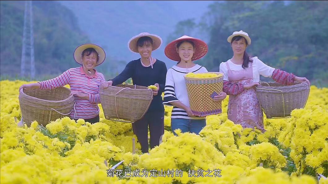 鏌冲窞甯傜綉缁滄壎璐姇绁ㄥ摢瀹跺ソ,鏌冲窞甯傜綉缁滄壎璐摢瀹跺己