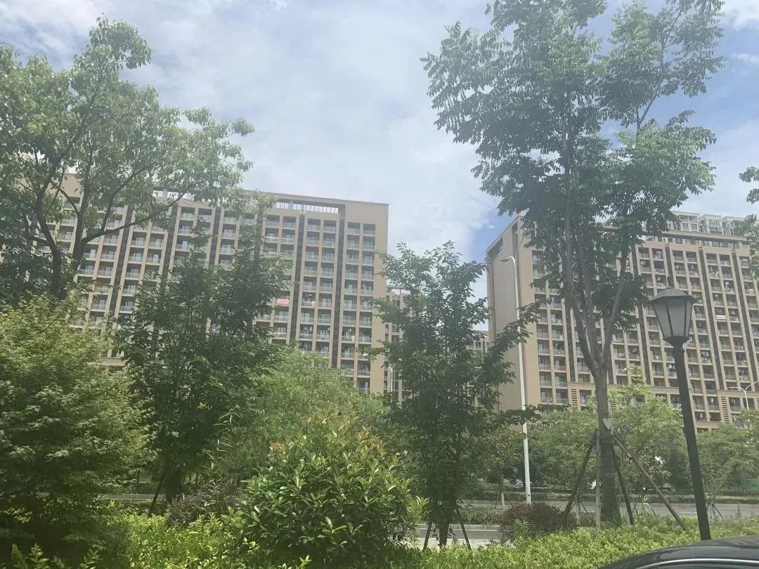 新房学区房详解,新房学区划分后期还会变动吗