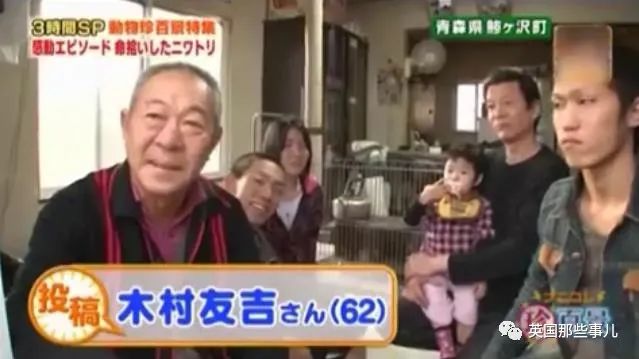 大爷养鸡为吃肉，但却不忍杀鸡。这背后秘密，莫名奇妙可爱