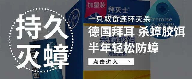 蟑螂满屋爬,蟑螂往身上爬好几只