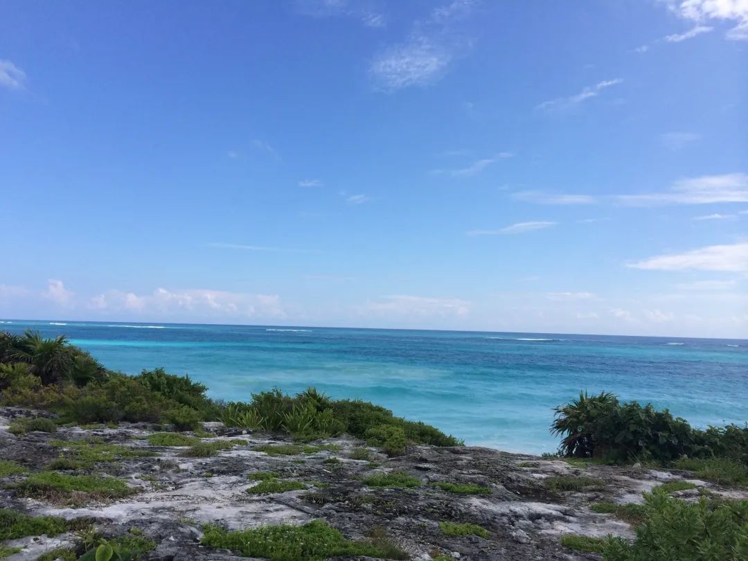 受永煤控股违约事件影响,永煤控股债券违约拖累煤炭股