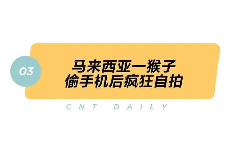 英国买奢侈品怎么退税,英国奢侈品退税税率
