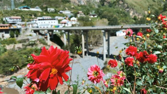 初秋，与神话九寨的浪漫之约