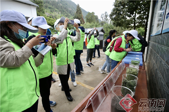 “探秘母亲湖”科普昆明50余名市民志愿者当起“滇池清道夫”