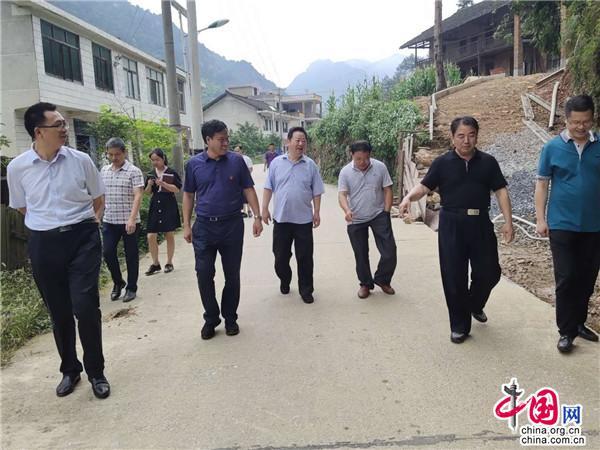 梅岭村梅花,梅溪镇梅岭村