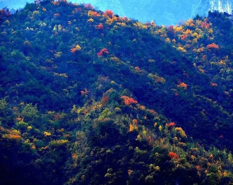 武都旅游景点大全,武都旅游线路