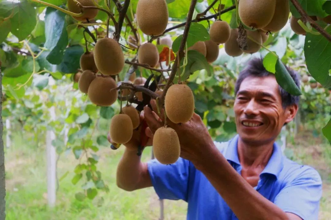 秋分的小知识有什么,今日秋分告诉孩子这些小知识